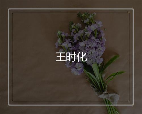 王时化