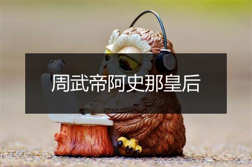 周武帝阿史那皇后