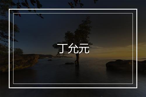 丁允元