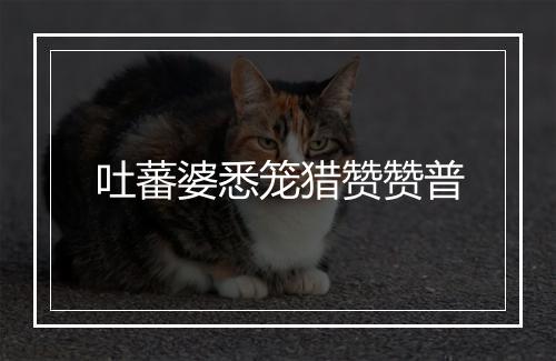 吐蕃婆悉笼猎赞赞普