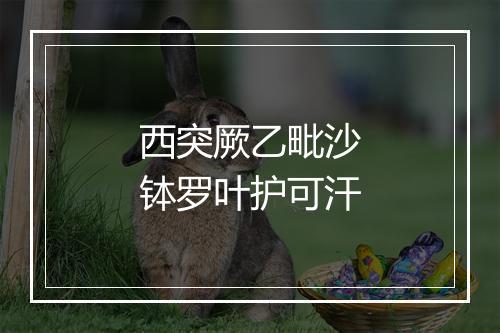 西突厥乙毗沙钵罗叶护可汗