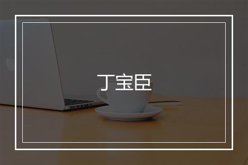 丁宝臣