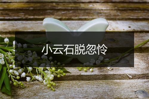 小云石脱忽怜