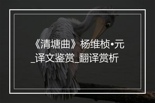 《清塘曲》杨维桢•元_译文鉴赏_翻译赏析