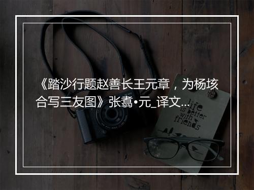 《踏沙行题赵善长王元章，为杨垓合写三友图》张翥•元_译文鉴赏_翻译赏析