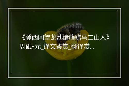 《登西冈望龙池诸峰赠马二山人》周砥•元_译文鉴赏_翻译赏析