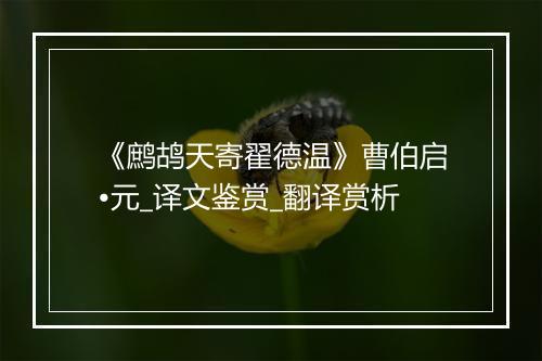 《鹧鸪天寄翟德温》曹伯启•元_译文鉴赏_翻译赏析