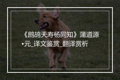 《鹧鸪天寿杨同知》蒲道源•元_译文鉴赏_翻译赏析