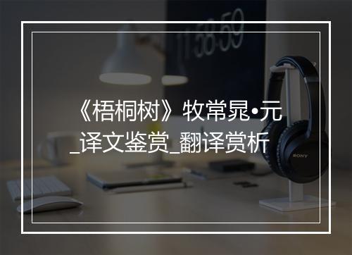 《梧桐树》牧常晁•元_译文鉴赏_翻译赏析