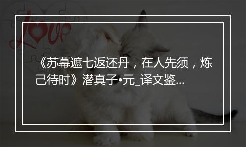 《苏幕遮七返还丹，在人先须，炼己待时》潜真子•元_译文鉴赏_翻译赏析