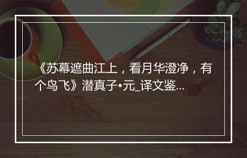 《苏幕遮曲江上，看月华澄净，有个鸟飞》潜真子•元_译文鉴赏_翻译赏析