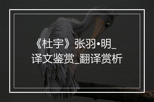 《杜宇》张羽•明_译文鉴赏_翻译赏析