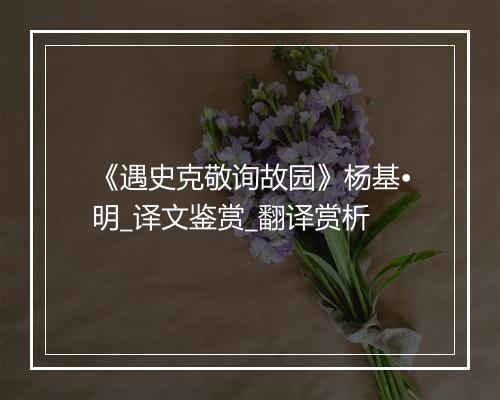 《遇史克敬询故园》杨基•明_译文鉴赏_翻译赏析