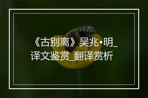 《古别离》吴兆•明_译文鉴赏_翻译赏析