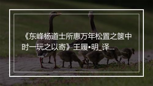 《东峰杨道士所惠万年松置之箧中时一玩之以寄》王履•明_译文鉴赏_翻译赏析