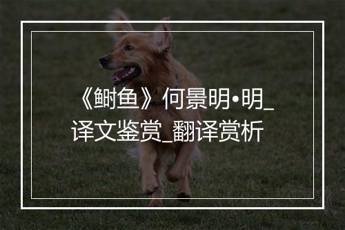 《鲥鱼》何景明•明_译文鉴赏_翻译赏析