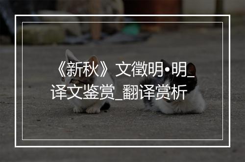 《新秋》文徵明•明_译文鉴赏_翻译赏析