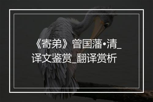 《寄弟》曾国藩•清_译文鉴赏_翻译赏析