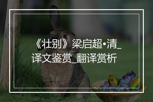 《壮别》梁启超•清_译文鉴赏_翻译赏析