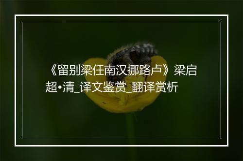 《留别梁任南汉挪路卢》梁启超•清_译文鉴赏_翻译赏析