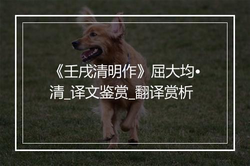 《壬戌清明作》屈大均•清_译文鉴赏_翻译赏析