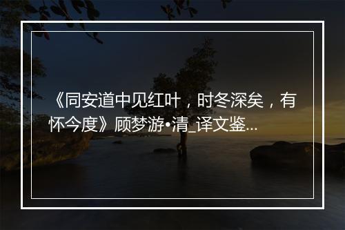 《同安道中见红叶，时冬深矣，有怀今度》顾梦游•清_译文鉴赏_翻译赏析