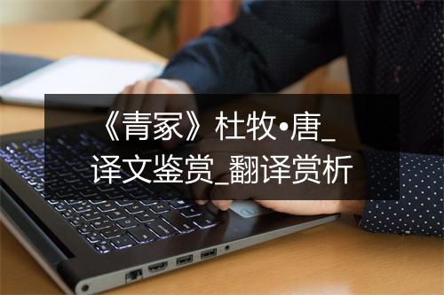 《青冢》杜牧•唐_译文鉴赏_翻译赏析