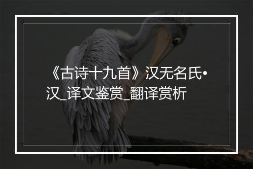 《古诗十九首》汉无名氏•汉_译文鉴赏_翻译赏析