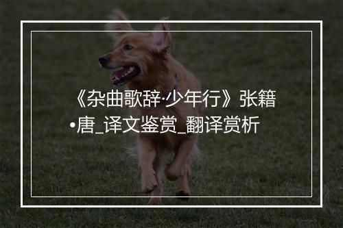 《杂曲歌辞·少年行》张籍•唐_译文鉴赏_翻译赏析