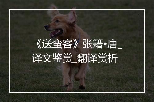 《送蛮客》张籍•唐_译文鉴赏_翻译赏析