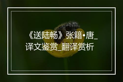 《送陆畅》张籍•唐_译文鉴赏_翻译赏析