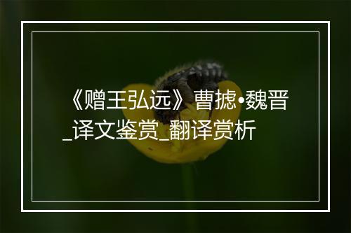 《赠王弘远》曹摅•魏晋_译文鉴赏_翻译赏析