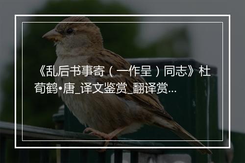 《乱后书事寄（一作呈）同志》杜荀鹤•唐_译文鉴赏_翻译赏析