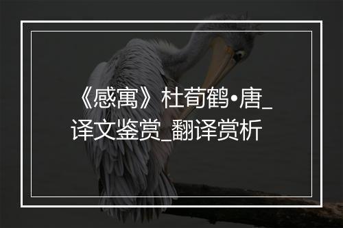 《感寓》杜荀鹤•唐_译文鉴赏_翻译赏析