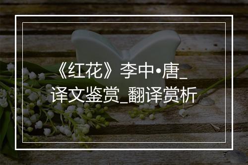 《红花》李中•唐_译文鉴赏_翻译赏析