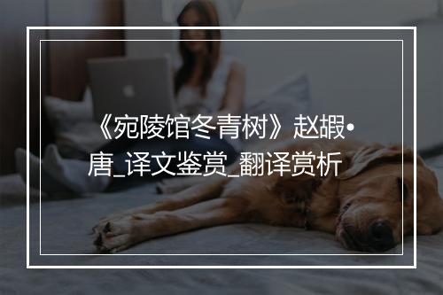 《宛陵馆冬青树》赵嘏•唐_译文鉴赏_翻译赏析