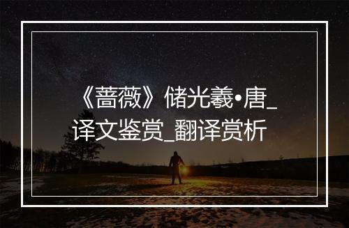 《蔷薇》储光羲•唐_译文鉴赏_翻译赏析