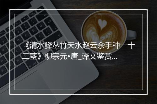 《清水驿丛竹天水赵云余手种一十二茎》柳宗元•唐_译文鉴赏_翻译赏析