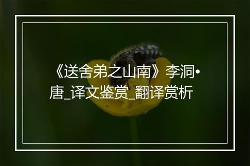 《送舍弟之山南》李洞•唐_译文鉴赏_翻译赏析