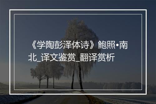 《学陶彭泽体诗》鲍照•南北_译文鉴赏_翻译赏析