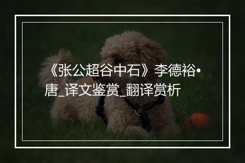 《张公超谷中石》李德裕•唐_译文鉴赏_翻译赏析