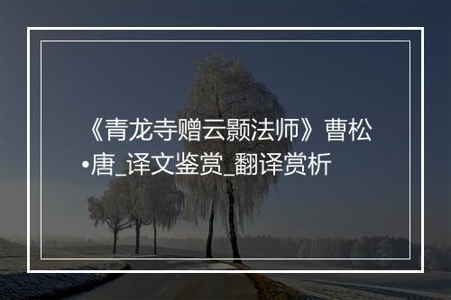 《青龙寺赠云颢法师》曹松•唐_译文鉴赏_翻译赏析