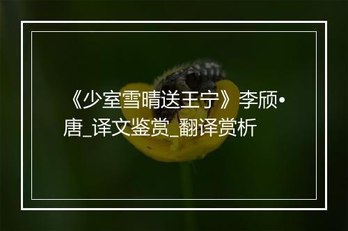 《少室雪晴送王宁》李颀•唐_译文鉴赏_翻译赏析