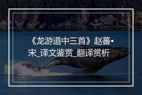 《龙游道中三首》赵蕃•宋_译文鉴赏_翻译赏析