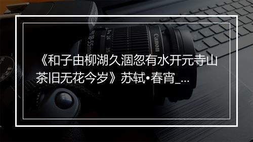 《和子由柳湖久涸忽有水开元寺山茶旧无花今岁》苏轼•春宵_译文鉴赏_翻译赏析