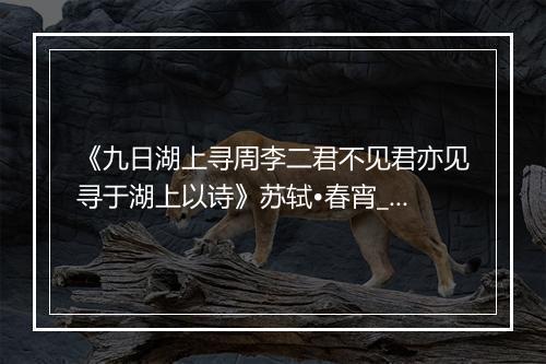 《九日湖上寻周李二君不见君亦见寻于湖上以诗》苏轼•春宵_译文鉴赏_翻译赏析