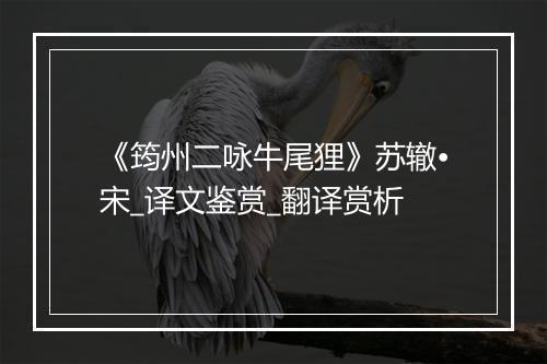 《筠州二咏牛尾狸》苏辙•宋_译文鉴赏_翻译赏析