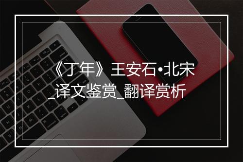 《丁年》王安石•北宋_译文鉴赏_翻译赏析