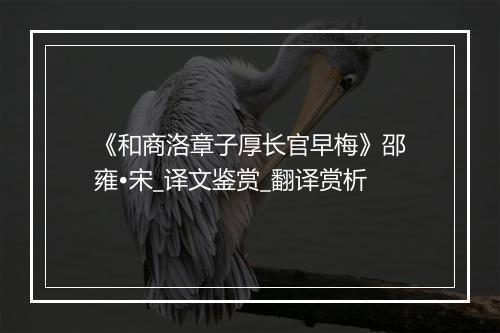 《和商洛章子厚长官早梅》邵雍•宋_译文鉴赏_翻译赏析