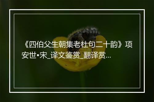 《四伯父生朝集老杜句二十韵》项安世•宋_译文鉴赏_翻译赏析